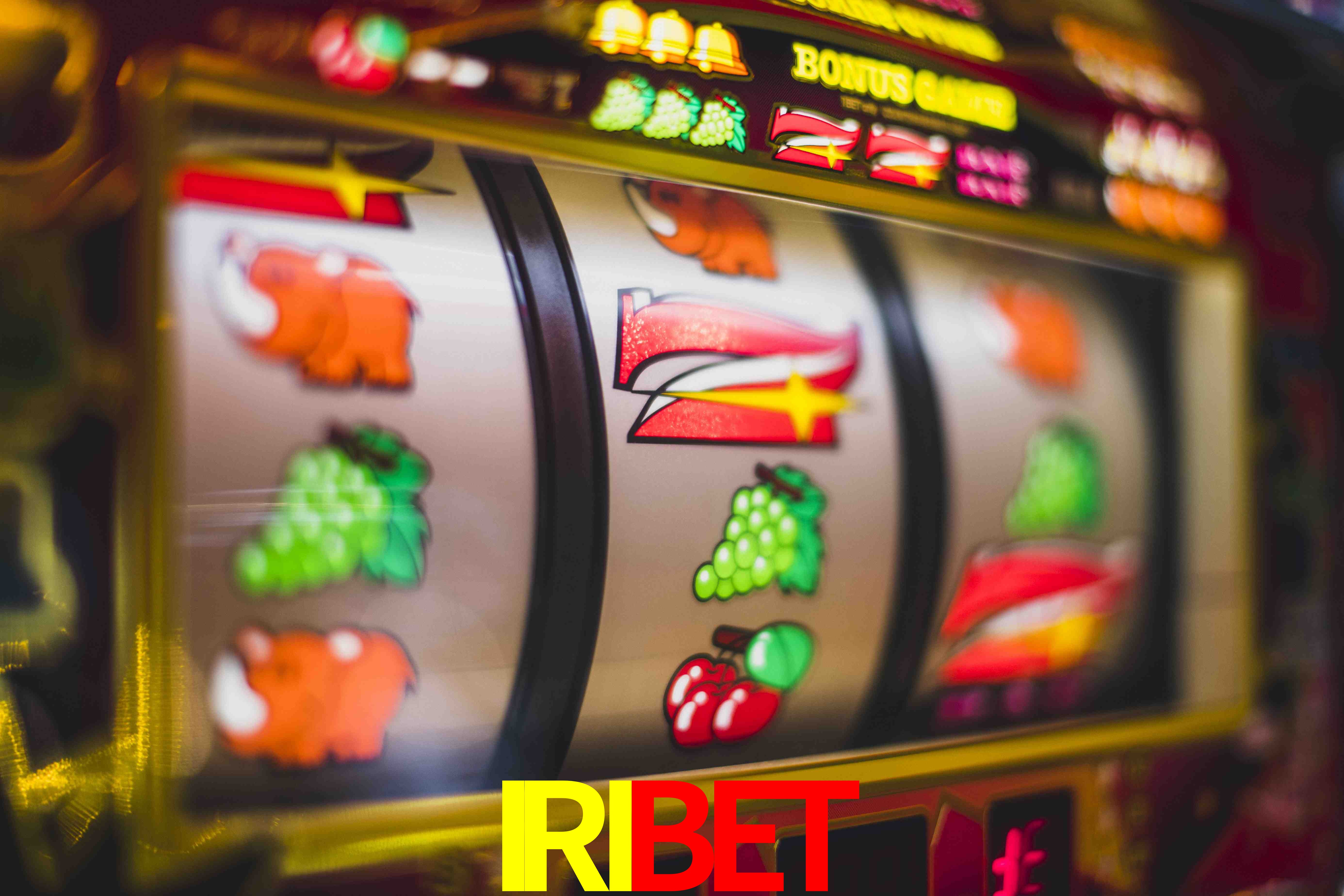 Live Casino IRIBET
